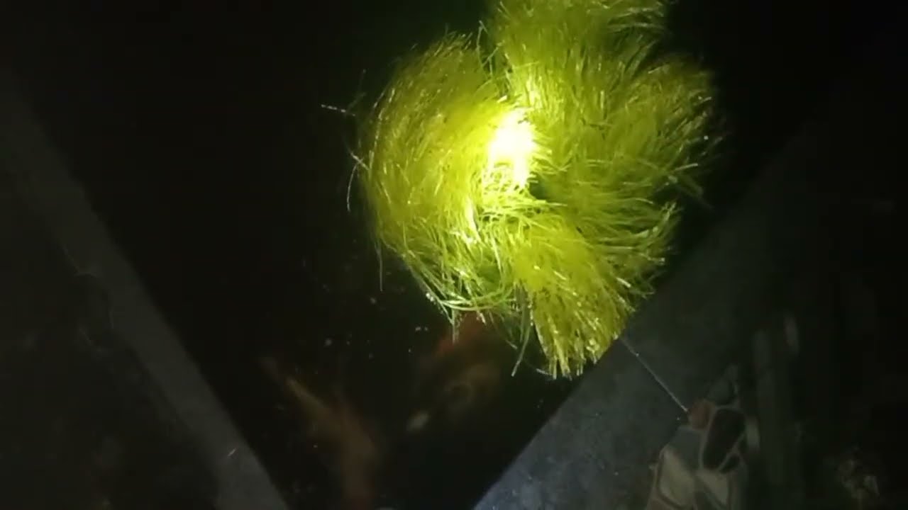 GLS PUTRA sedang live sekarang!