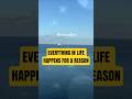 Everything in life happens for a reason
