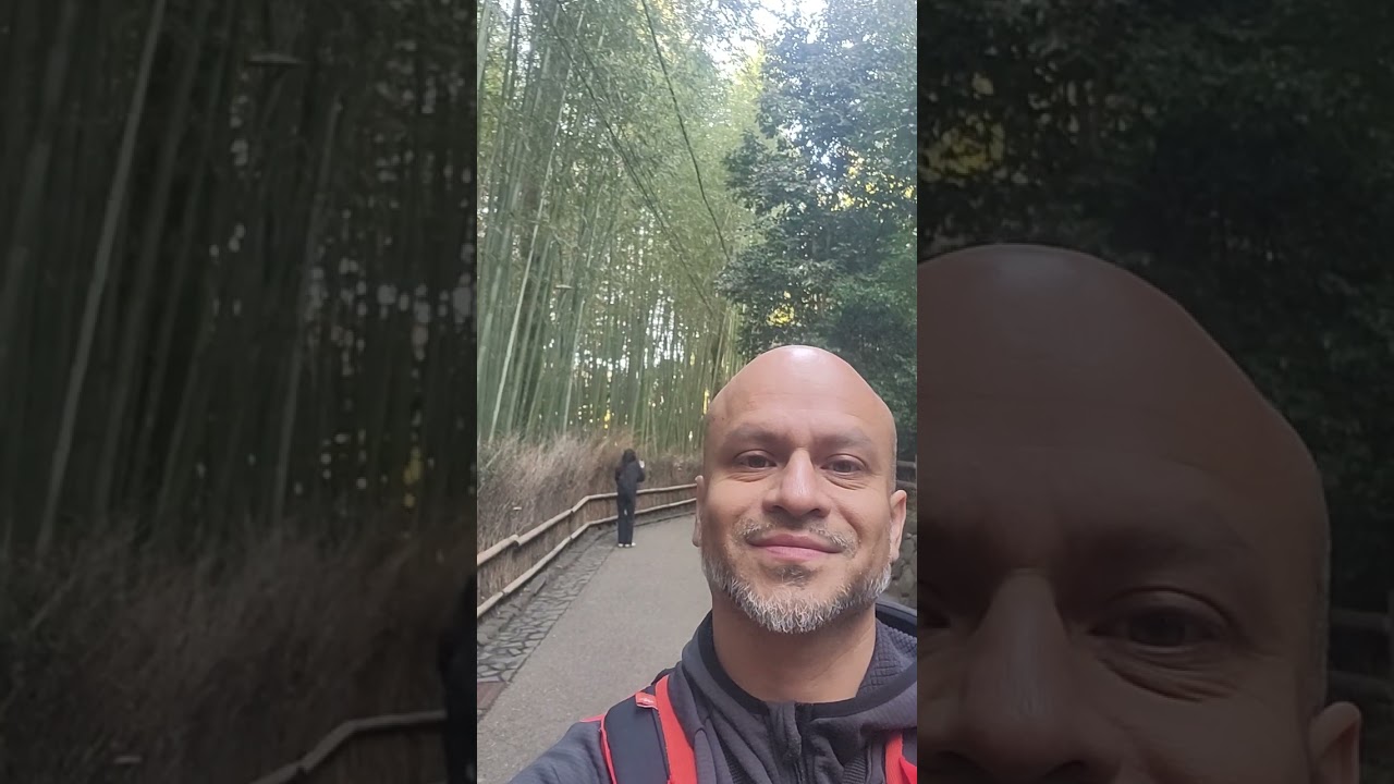 More bamboo forest path