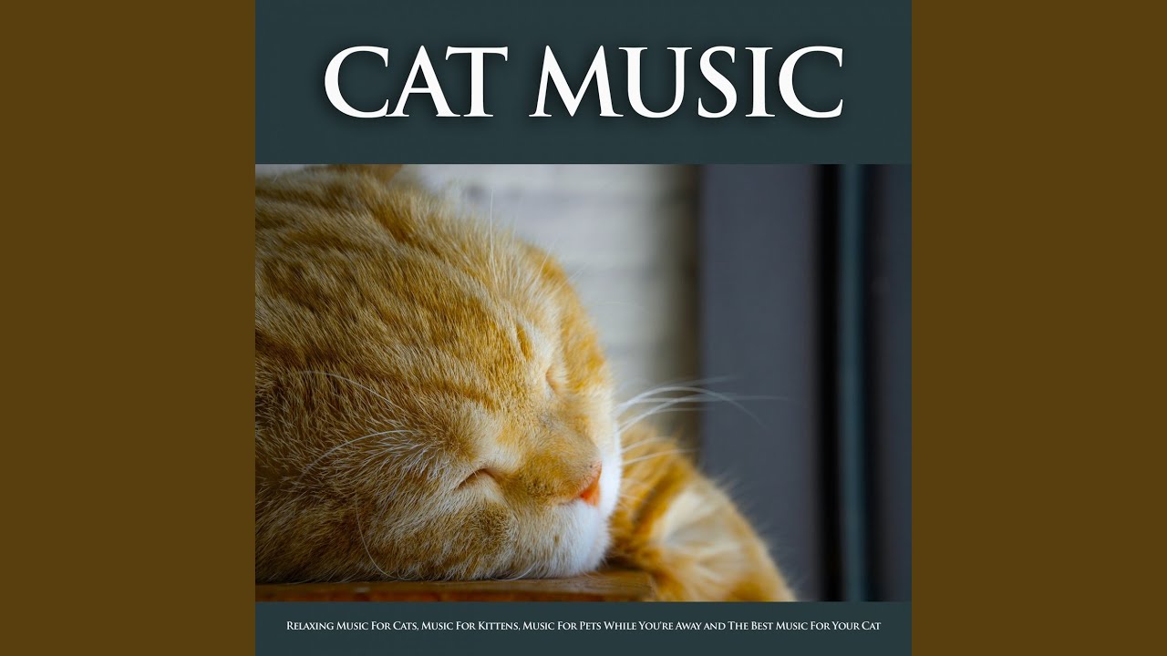 Music For Cats - YouTube