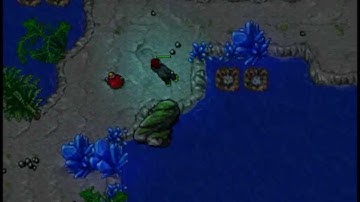 TibiaViewer [Xenobot Implementation] (English)