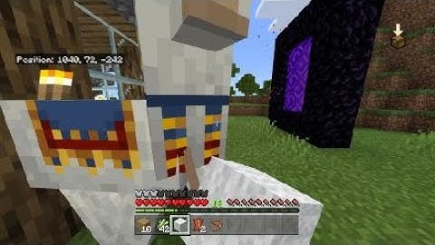 Why did a Wandering Trader spawn on top of my house?