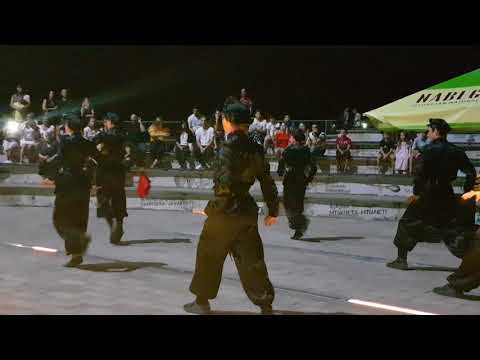 Beautiful Georgian Dances - Part V (Argo Cable Car/Folklore/Batumi)