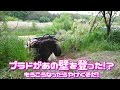 78プラド あの壁を登った!?もうこうなったらやけくそだ！　(Suzuki Samurai Fail offroad extreme) ｼﾞﾑﾆｰｼﾘｰｽﾞ Vol.41