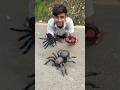 RC Remote Control Small Spider V S Big Spider Unboxing