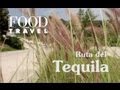 Ruta del tequila