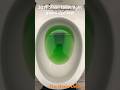 2019 Sloan toilet dye test