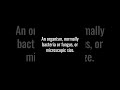 MICRO ORGANISM