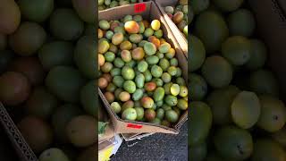 Шувар овочі огляд цін на ринку 25.10.25