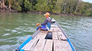 Download lagu TAK DISANGKA KEDATANGANKU TEPAT DISAAT IKANNYA LAGI BERKUMPUL..!! MANCING DISAAT AIR SURUT SORE 