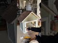 DIY Little Free Library DIY Little Free Library