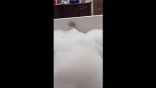 Ligo Challenge na Naman tayo 🤣Part-2