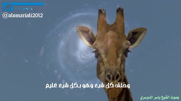 تلاوة غير عادية للشيخ ياسر الدوسري صدقوني تبكي القلب قبل العين