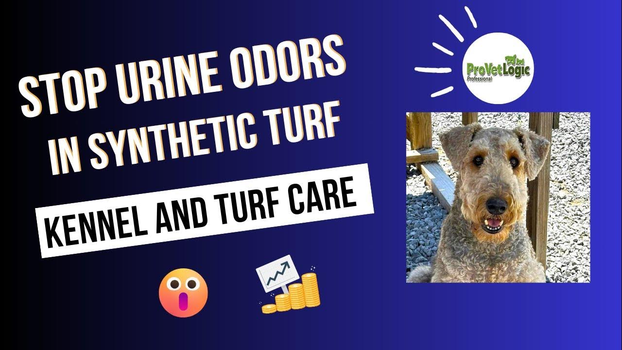 How to clean and deodorize Pet Turf with ProVetLogic Kennel and Turf