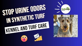 How to clean and deodorize Pet Turf with ProVetLogic Kennel and Turf Care