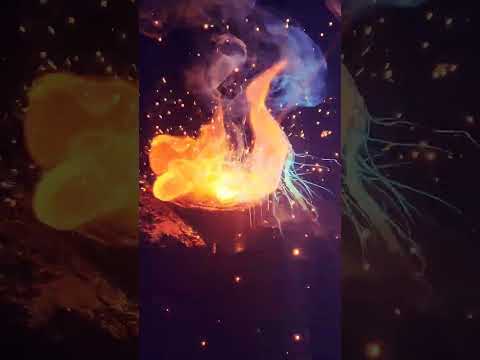 شري لمليح من عند واحد وجهو باين كيخاف على سمعة تاعو أولا بلاما تشريه خلي فلوسك فجيبك راك رابح