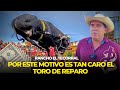 Cunto cuesta criar un toro de reparo   jaime mendoza de rancho el tecorral