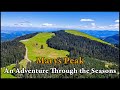 Marys peak une aventure  travers les saisons oregon