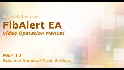 FibAlert Video Training Manual part 12 - Ext Reversal Trade Settings