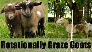 Benefits of Rotationally Grazing Goats