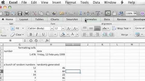 2.2 Formatting Cells & Basic Functions in Excel