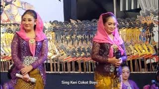 SING KERI COKOT BOYO || SEKAR GADUNG