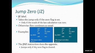 008 Basic Conditional Branching Assembly Language Branching