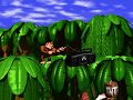 Donkey Kong Country - прохождение на все 101% секретов.