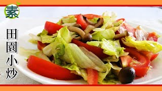 素菜食譜 | 簡單美味的素菜 田園小炒