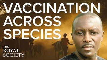 Can you use the same vaccine on different species? | The Royal Society