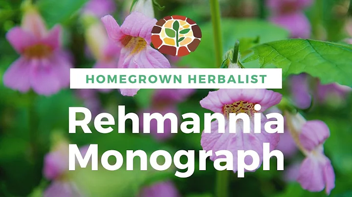 Rehmannia Monograph - Herbal Review with Doctor Jones