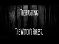 Asmr the witchs forest witchywaifu