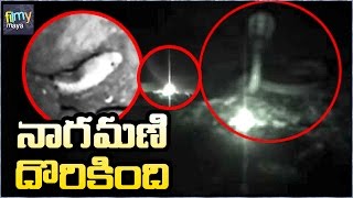 Real Nagamani Original Video on Camera | నాగమణి దర్శనం దొరుకుతుంది | Filmy Maya