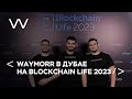 WAYMORR на Blockchain Life 2023 в Дубае