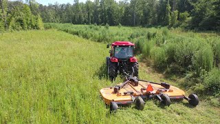 Mowing thick brush and tall grass! Huge Mower put to the test!