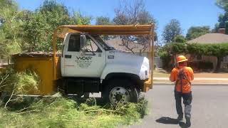 West Coast Arborists - Tree Trimmers to Avoid in Long Beach, California - Vehicle Claim Denied