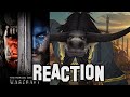 Warcraft Trailer - Bullworth reaction