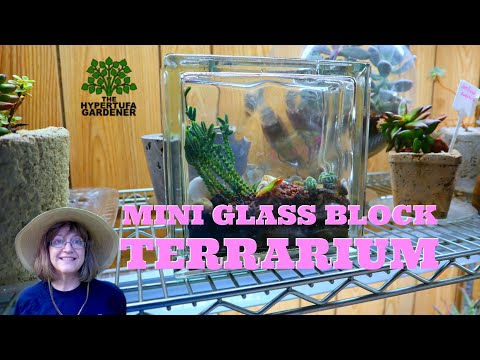 Found A Mini Glass Block At the Goodwill - Let&#039;s Make A Terrarium!