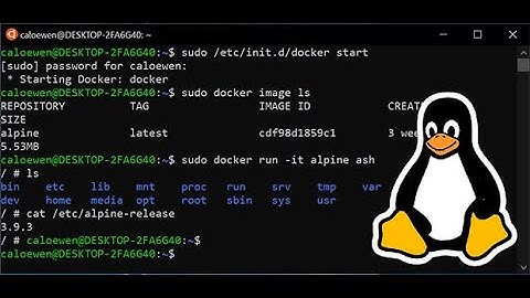 Linux command line touch nano  cat less more head tail  cp mv rm