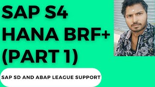 SAP S4 Hana BRF  (Output Determination) - Part1