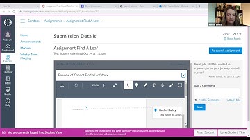 How to . . . Disable Gradebook AND Direct Students To Grade Feedback in CANVAS