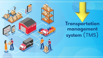 Transport Management System TMS Setup