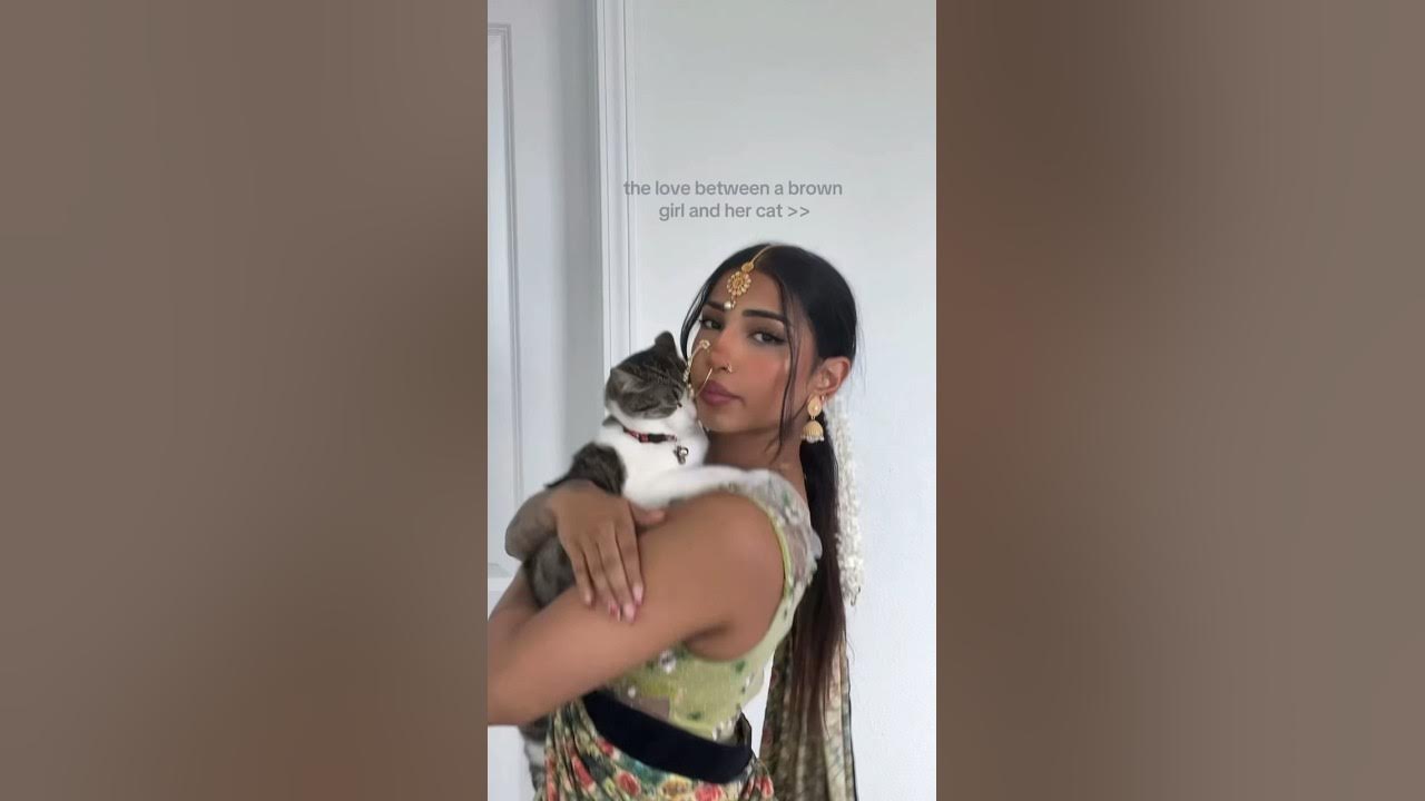 this-is-your-sign-to-get-a-cat-cat-shorts-viral-youtube
