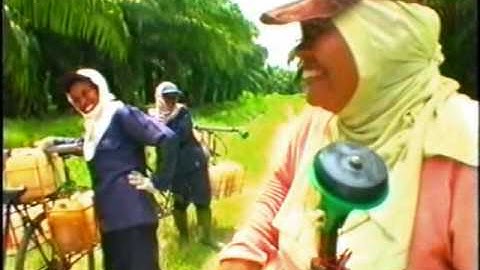 The Globalisation Tapes - Part 6/8