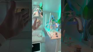 Visually appealing lighting for creating YouTube Shorts.