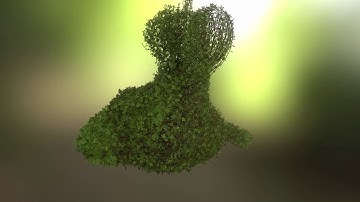 Houdini Vine Tool