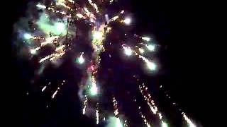 VID-20110101-00003