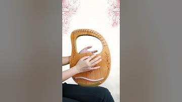 《My Heart Will Go On 》Via 16 Strings Lyre Harp