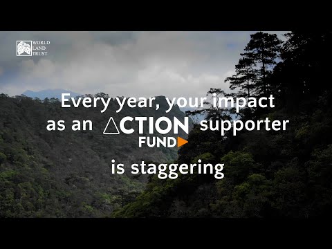 #YourConservationWins2021: The staggering impact of Action Fund supporters