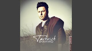 Tashvish